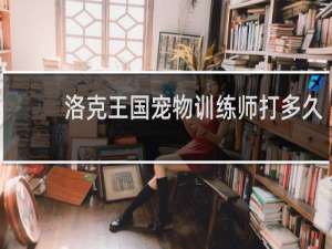 洛克王国宠物训练师打多久