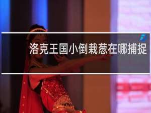 洛克王国小倒栽葱在哪捕捉