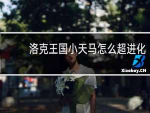 洛克王国小天马怎么超进化