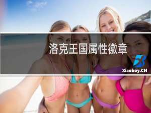 洛克王国属性徽章