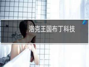 洛克王国布丁科技