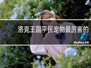 洛克王国平民宠物最厉害的