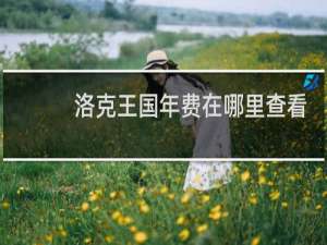 洛克王国年费在哪里查看
