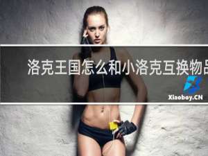 洛克王国怎么和小洛克互换物品