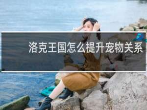 洛克王国怎么提升宠物关系