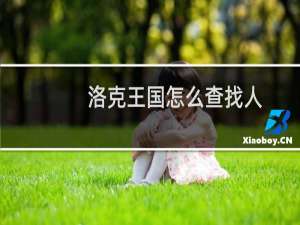 洛克王国怎么查找人