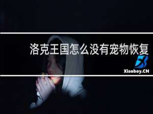 洛克王国怎么没有宠物恢复