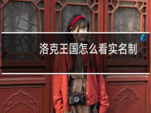 洛克王国怎么看实名制