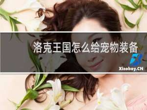 洛克王国怎么给宠物装备