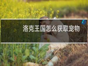 洛克王国怎么获取宠物
