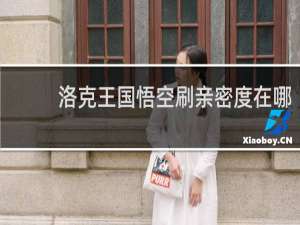 洛克王国悟空刷亲密度在哪