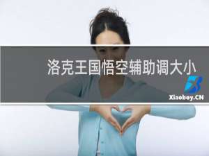 洛克王国悟空辅助调大小