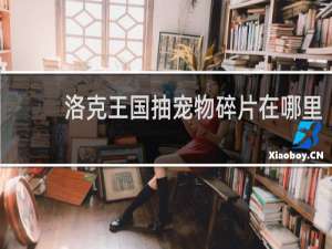 洛克王国抽宠物碎片在哪里
