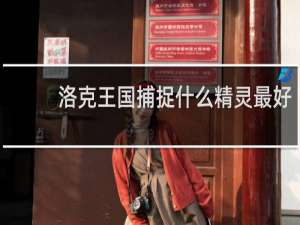 洛克王国捕捉什么精灵最好