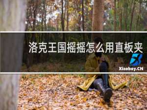 洛克王国摇摇怎么用直板夹