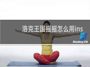 洛克王国摇摇怎么用ins