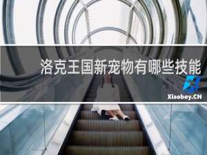 洛克王国新宠物有哪些技能