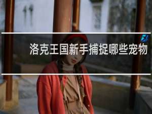 洛克王国新手捕捉哪些宠物