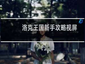 洛克王国新手攻略视屏