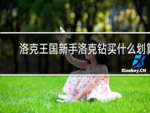 洛克王国新手洛克钻买什么划算