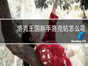 洛克王国新手洛克钻怎么花
