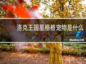 洛克王国星格格宠物是什么
