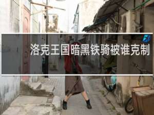 洛克王国暗黑铁骑被谁克制