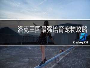 洛克王国最强培育宠物攻略