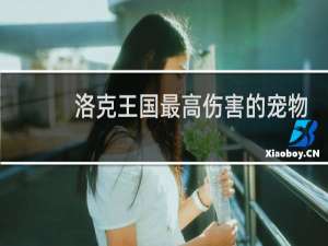 洛克王国最高伤害的宠物