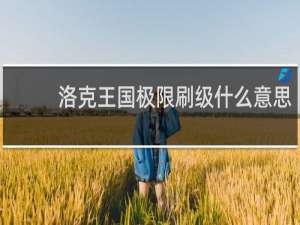 洛克王国极限刷级什么意思