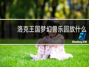 洛克王国梦幻兽乐园放什么