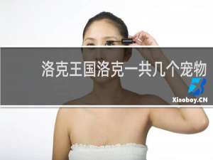 洛克王国洛克一共几个宠物