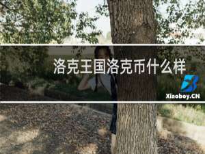 洛克王国洛克币什么样
