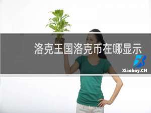 洛克王国洛克币在哪显示