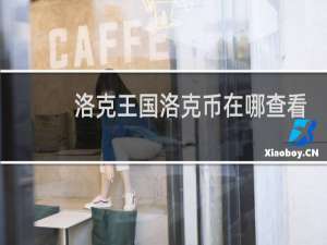 洛克王国洛克币在哪查看