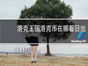 洛克王国洛克币在哪看日出