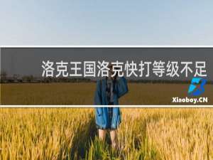 洛克王国洛克快打等级不足