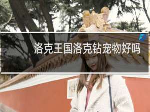 洛克王国洛克钻宠物好吗