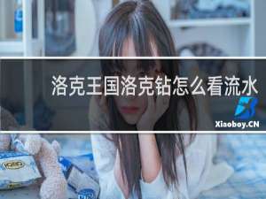 洛克王国洛克钻怎么看流水