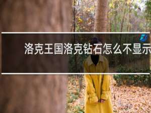 洛克王国洛克钻石怎么不显示