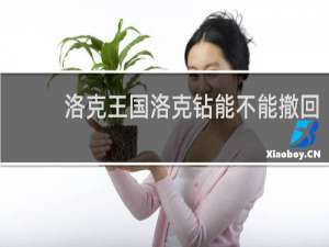 洛克王国洛克钻能不能撤回