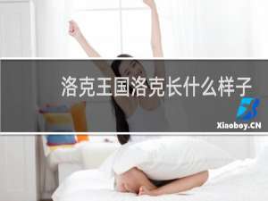 洛克王国洛克长什么样子