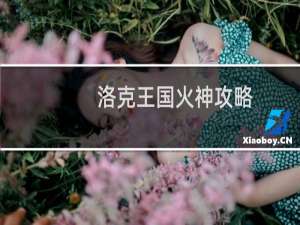 洛克王国火神攻略