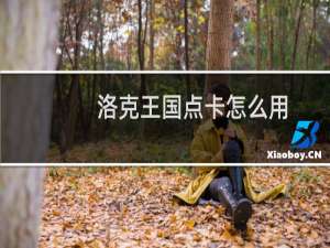 洛克王国点卡怎么用