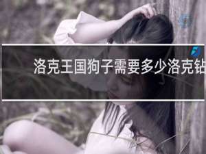 洛克王国狗子需要多少洛克钻