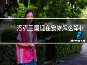 洛克王国现在宠物怎么净化