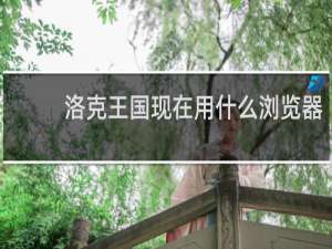 洛克王国现在用什么浏览器