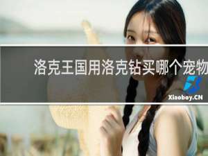 洛克王国用洛克钻买哪个宠物