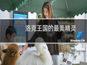 洛克王国的最美精灵