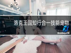 洛克王国知行合一技能宠物